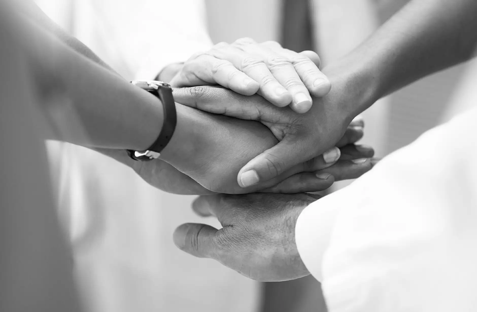 ecosistema permette lo Uno scambio costante di informazioni e l’adozione di interventi coordinati.
